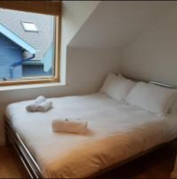 Parc Y Bryn Luxury Penthouse Apartment Aberystwyth Ngoại thất bức ảnh
