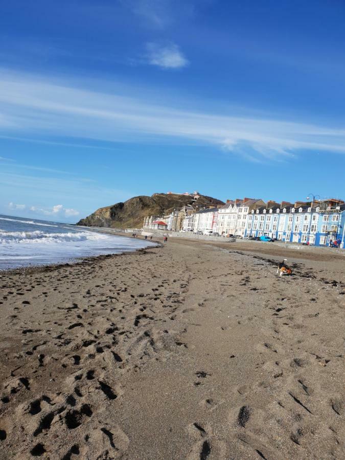 Parc Y Bryn Luxury Penthouse Apartment Aberystwyth Ngoại thất bức ảnh